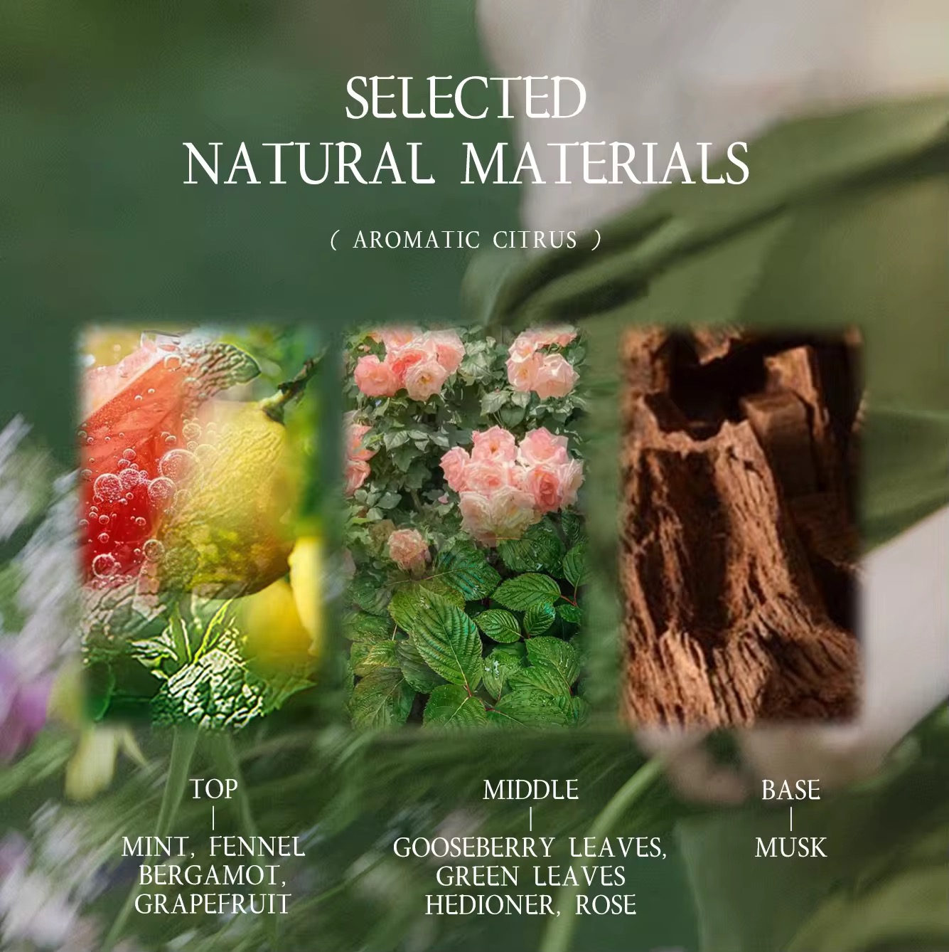 Women Perfume | Aromatic Citrus Fragrance